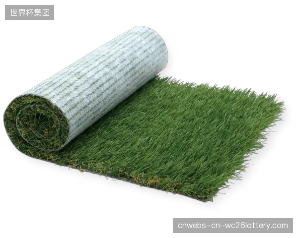 众多品牌宣称的“绿色体育赞助”，其真实的环保贡献度能否被实时归因模型有效证实？